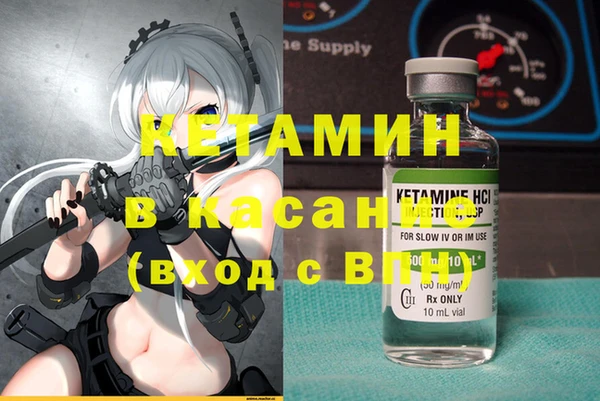 прущие грибы Алексеевка