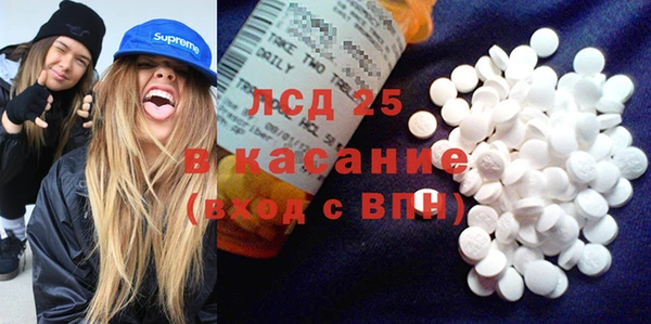 прущие грибы Алексеевка