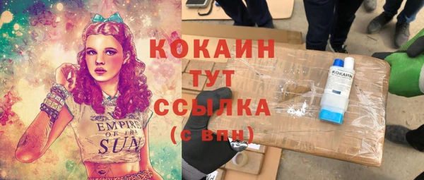 тгк Алексин