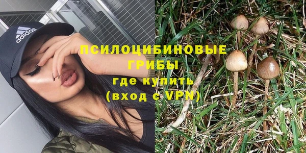 прущие грибы Алексеевка