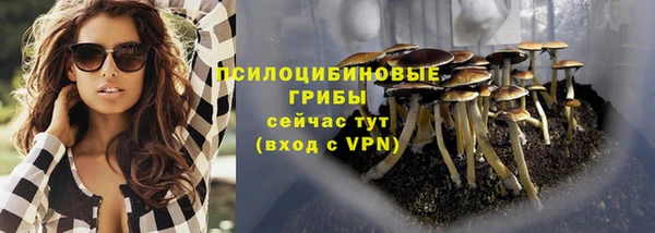 героин Алзамай
